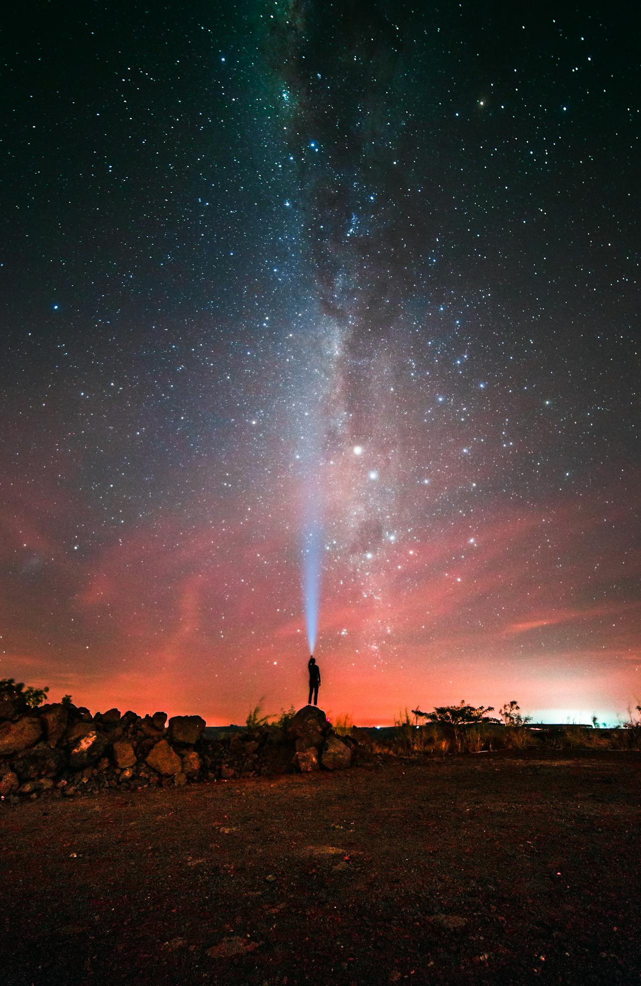 pexels-alberlan-9991619