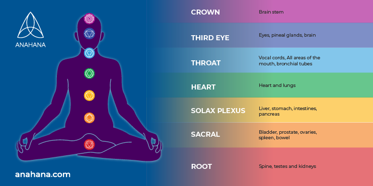 Your guide to Chakras  Healing yoga, Chakra yoga, Chakra health