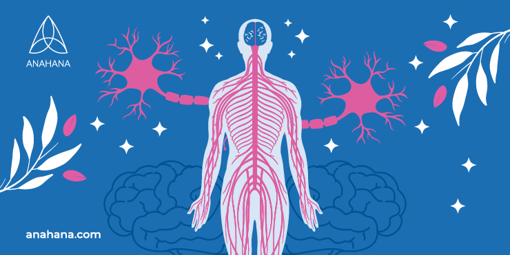 Free Vector  Human body central brain spinal cord and peripheral